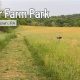 Discover Starr Farm: Sustainable Farming at Its Best | The Conscious Farmer | Sustainable Agriculture for a Healthier Planet