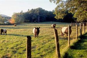Discover Aldermere Farm: A Legacy of Farming The Conscious Farmer | Sustainable Agriculture for a Healthier Planet Discover Aldermere Farm: A Legacy of Farming | The Conscious Farmer | Sustainable Agriculture for a Healthier Planet