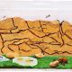 Best Ants For Your Queen Ant Farm: A Complete Guide | The Conscious Farmer | Sustainable Agriculture for a Healthier Planet