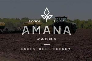 Amana Farms Live Poultry: Your Backyard Farming Guide | The Conscious Farmer | Sustainable Agriculture for a Healthier Planet