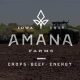 Amana Farms Live Poultry: Your Backyard Farming Guide | The Conscious Farmer | Sustainable Agriculture for a Healthier Planet