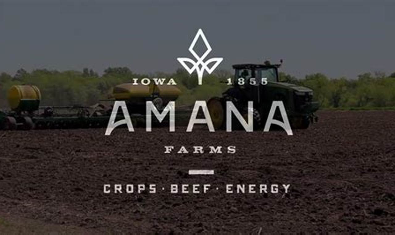 Amana Farms Live Poultry: Your Backyard Farming Guide | The Conscious Farmer | Sustainable Agriculture for a Healthier Planet