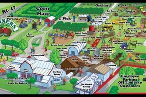 Visit Tanners Farm Today! Your Family Fun Farm! The Conscious Farmer | Sustainable Agriculture for a Healthier Planet Visit Tanners Farm Today! Your Family Fun Farm! | The Conscious Farmer | Sustainable Agriculture for a Healthier Planet