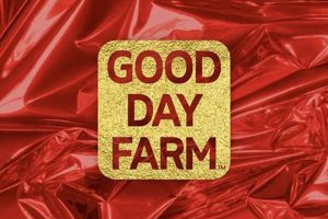 Discover Good Day Farm Kennett: Your Local Harvest! The Conscious Farmer | Sustainable Agriculture for a Healthier Planet Discover Good Day Farm Kennett: Your Local Harvest! | The Conscious Farmer | Sustainable Agriculture for a Healthier Planet