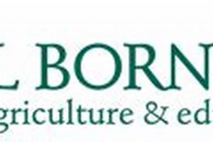 From Soil Born Farms: Sustainable Farming | The Conscious Farmer | Sustainable Agriculture for a Healthier Planet