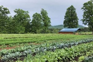 Discover: Seven Oaks Farm - Sustainable Farming The Conscious Farmer | Sustainable Agriculture for a Healthier Planet Discover: Seven Oaks Farm - Sustainable Farming | The Conscious Farmer | Sustainable Agriculture for a Healthier Planet