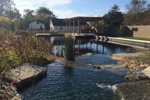 Living Near Tryon Farm, Michigan City: Nature & Homes The Conscious Farmer | Sustainable Agriculture for a Healthier Planet Living Near Tryon Farm, Michigan City: Nature & Homes | The Conscious Farmer | Sustainable Agriculture for a Healthier Planet