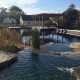 Living Near Tryon Farm, Michigan City: Nature & Homes | The Conscious Farmer | Sustainable Agriculture for a Healthier Planet