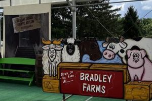 Bradley's Farm: Sustainable Local Farming Tips The Conscious Farmer | Sustainable Agriculture for a Healthier Planet Bradley's Farm: Sustainable Local Farming Tips | The Conscious Farmer | Sustainable Agriculture for a Healthier Planet