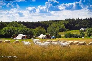 Farm Fresh: Camping on Farms & More! The Conscious Farmer | Sustainable Agriculture for a Healthier Planet Farm Fresh: Camping on Farms & More! | The Conscious Farmer | Sustainable Agriculture for a Healthier Planet