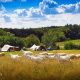 Farm Fresh: Camping on Farms & More! | The Conscious Farmer | Sustainable Agriculture for a Healthier Planet