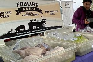 Fogline Farms: Thriving Agriculture in Misty Landscapes | The Conscious Farmer | Sustainable Agriculture for a Healthier Planet