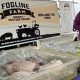Fogline Farms: Thriving Agriculture in Misty Landscapes | The Conscious Farmer | Sustainable Agriculture for a Healthier Planet