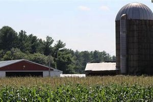 Visit Flint Farm Mansfield, Your Local Farm! | The Conscious Farmer | Sustainable Agriculture for a Healthier Planet