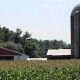 Visit Flint Farm Mansfield, Your Local Farm! | The Conscious Farmer | Sustainable Agriculture for a Healthier Planet