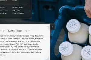 Explore The Grey Barn & Farm: A Rustic Farming Gem | The Conscious Farmer | Sustainable Agriculture for a Healthier Planet