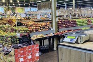 Discover Kissena Farms: Farming Freshness! | The Conscious Farmer | Sustainable Agriculture for a Healthier Planet