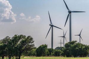 Explore Windmill Farms Near Forney, TX: Power & Progress | The Conscious Farmer | Sustainable Agriculture for a Healthier Planet