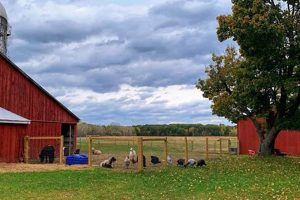 Discover Briarwood Farm: Fresh & Sustainable Farming | The Conscious Farmer | Sustainable Agriculture for a Healthier Planet