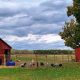 Discover Briarwood Farm: Fresh & Sustainable Farming | The Conscious Farmer | Sustainable Agriculture for a Healthier Planet