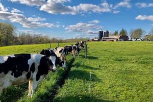 Visit Coopers Farm Leicester MA: Fresh &amp; Local! | The Conscious Farmer | Sustainable Agriculture for a Healthier Planet