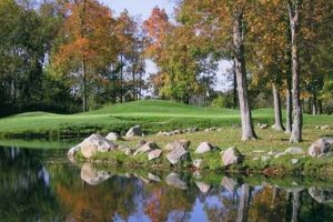 Discover Downing Farms Golf Course: Tee Off & More! | The Conscious Farmer | Sustainable Agriculture for a Healthier Planet