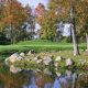 Discover Downing Farms Golf Course: Tee Off & More! | The Conscious Farmer | Sustainable Agriculture for a Healthier Planet