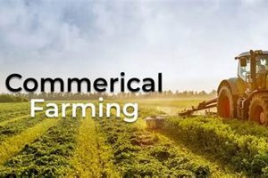 Exploring What Are Commercial Farms + Their Impact The Conscious Farmer | Sustainable Agriculture for a Healthier Planet Exploring What Are Commercial Farms + Their Impact | The Conscious Farmer | Sustainable Agriculture for a Healthier Planet