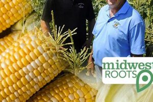 Your Guide to Stoney Brook Farms: Farming Excellence | The Conscious Farmer | Sustainable Agriculture for a Healthier Planet