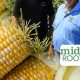 Your Guide to Stoney Brook Farms: Farming Excellence | The Conscious Farmer | Sustainable Agriculture for a Healthier Planet