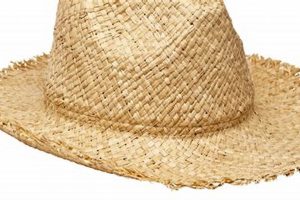 Best Farmer Straw Hats: Farming Sun Protection | The Conscious Farmer | Sustainable Agriculture for a Healthier Planet