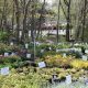 Discover Hardscrabble Farms Nursery: Your Local Plant Source | The Conscious Farmer | Sustainable Agriculture for a Healthier Planet