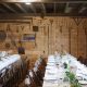 Explore Hallockville Museum Farm in Riverhead, NY: A Farming Legacy | The Conscious Farmer | Sustainable Agriculture for a Healthier Planet