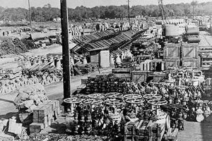 Georgia Farming: What Happened to Farms in GA After WWII? | The Conscious Farmer | Sustainable Agriculture for a Healthier Planet