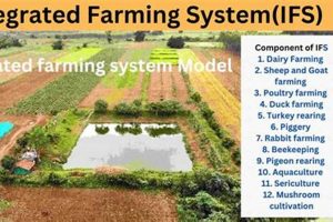 Unlocking **The Farm System**: Grow Your Talent Pipeline | The Conscious Farmer | Sustainable Agriculture for a Healthier Planet