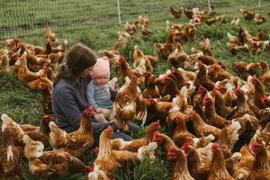 Boost Your Crop with Copia Farm Tech: The Future of Farming The Conscious Farmer | Sustainable Agriculture for a Healthier Planet Boost Your Crop with Copia Farm Tech: The Future of Farming | The Conscious Farmer | Sustainable Agriculture for a Healthier Planet