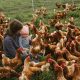 Boost Your Crop with Copia Farm Tech: The Future of Farming | The Conscious Farmer | Sustainable Agriculture for a Healthier Planet