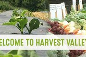 Discover: Harvest Valley Farms' Fresh Bounty Now! | The Conscious Farmer | Sustainable Agriculture for a Healthier Planet