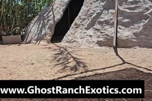 Explore Ghost Ranch Exotics: Your Funny Foot Farm Guide | The Conscious Farmer | Sustainable Agriculture for a Healthier Planet