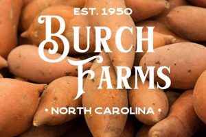 Discover Burch Farms: Quality Produce Near You | The Conscious Farmer | Sustainable Agriculture for a Healthier Planet
