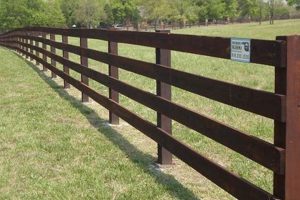 Get Inspired! Farm Fence Ideas & Solutions for Farming The Conscious Farmer | Sustainable Agriculture for a Healthier Planet Get Inspired! Farm Fence Ideas & Solutions for Farming | The Conscious Farmer | Sustainable Agriculture for a Healthier Planet