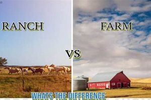 Ranch vs. Farm: Key Difference Explained (Agriculture) | The Conscious Farmer | Sustainable Agriculture for a Healthier Planet