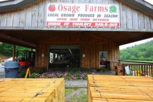 Discover Osage Farms Georgia: Sustainable Farming in GA The Conscious Farmer | Sustainable Agriculture for a Healthier Planet Discover Osage Farms Georgia: Sustainable Farming in GA | The Conscious Farmer | Sustainable Agriculture for a Healthier Planet