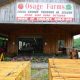 Discover Osage Farms Georgia: Sustainable Farming in GA | The Conscious Farmer | Sustainable Agriculture for a Healthier Planet