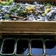 Start Worm Farming Now: Profitable Vermiculture Tips | The Conscious Farmer | Sustainable Agriculture for a Healthier Planet
