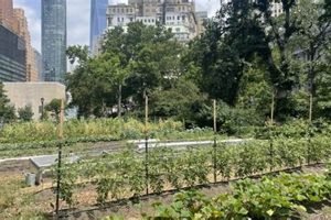 Urban Farming: The Battery Urban Farm Guide &amp; More | The Conscious Farmer | Sustainable Agriculture for a Healthier Planet