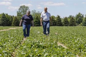 Exploring Wilfert Farms Manitowoc: Local Agriculture | The Conscious Farmer | Sustainable Agriculture for a Healthier Planet