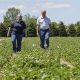 Exploring Wilfert Farms Manitowoc: Local Agriculture | The Conscious Farmer | Sustainable Agriculture for a Healthier Planet