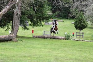 Visit Apple Knoll Farm: Apples, Cider & More! | The Conscious Farmer | Sustainable Agriculture for a Healthier Planet