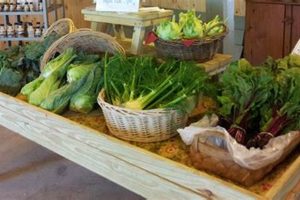Barber's Farm: Sustainable Farming Traditions Today! The Conscious Farmer | Sustainable Agriculture for a Healthier Planet Barber's Farm: Sustainable Farming Traditions Today! | The Conscious Farmer | Sustainable Agriculture for a Healthier Planet